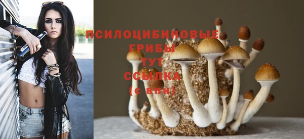 MDMA Горнозаводск