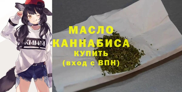 ECSTASY Горняк