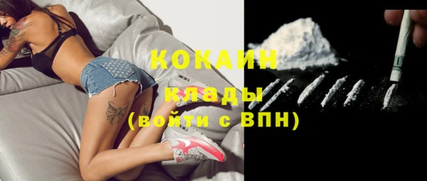 ECSTASY Горняк