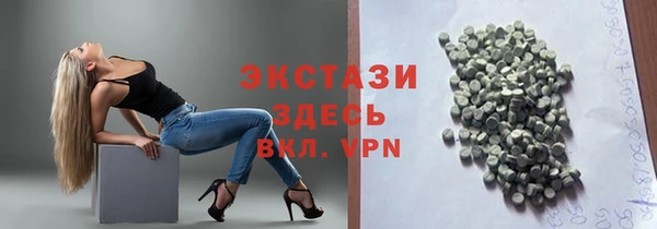 ECSTASY Горняк
