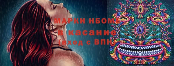 шишки Архангельск
