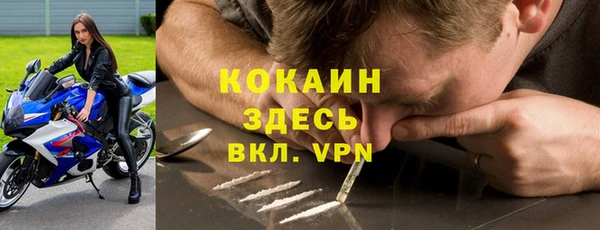прущие крисы Горно-Алтайск