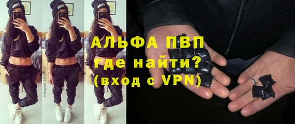 ECSTASY Горняк