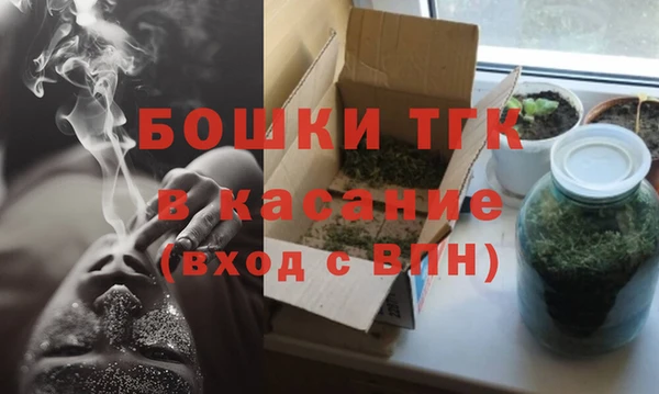 ECSTASY Горняк