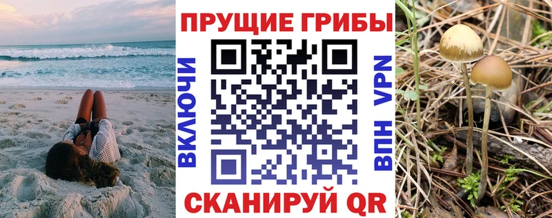 Псилоцибиновые грибы MAGIC MUSHROOMS  где продают наркотики  Дальнереченск 