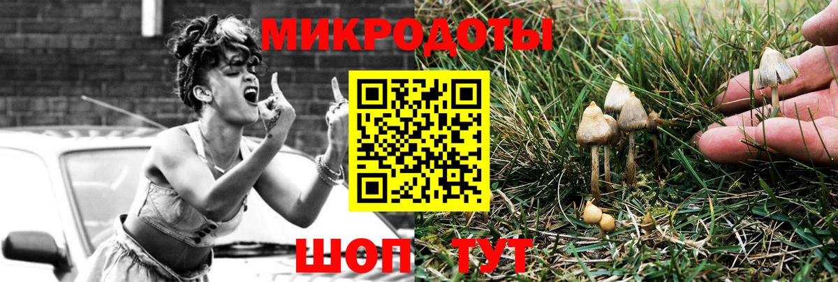 Дальнереченск  Псилоцибиновые грибы Psilocybe  Вход с VPN 