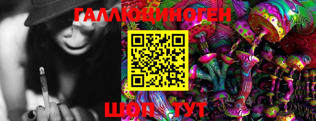 Псилоцибиновые грибы Cubensis  Дальнереченск 